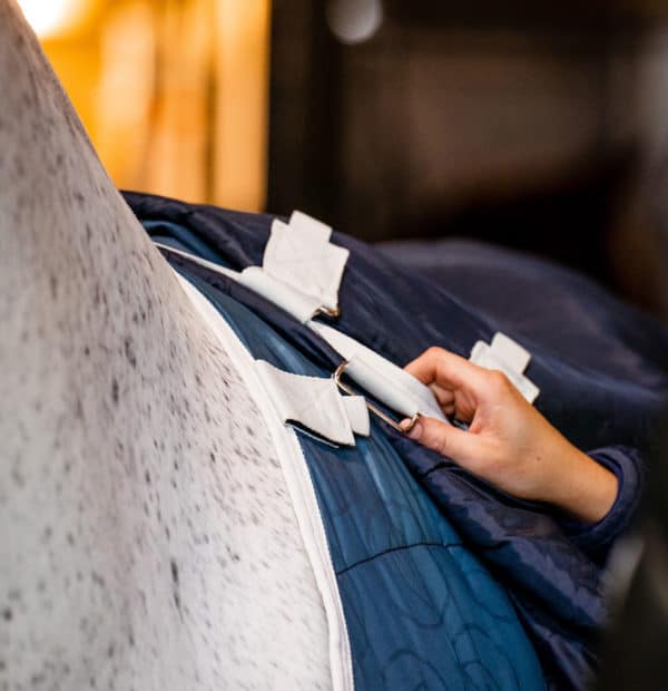 Rive Equestre HORSEWARE Eco Liner 200gr