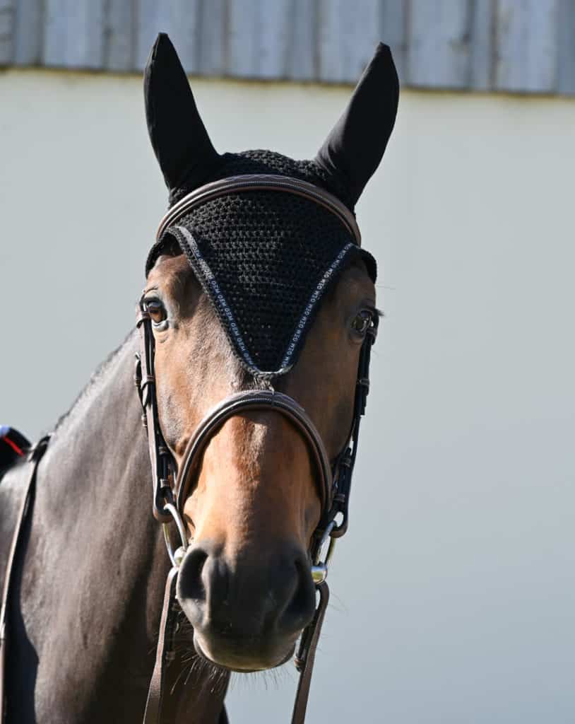 Voile Anti-mouches USG Avec Protège-oreilles - Noir Pour Cheval