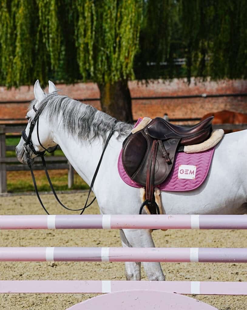 Tapis de selle pour cheval LeMieux Loire Memory Close Contact - white - L - Sport