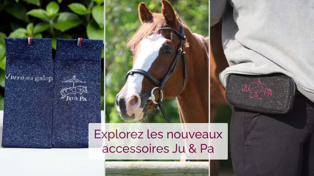 rive-equestre-cover-ju-pa