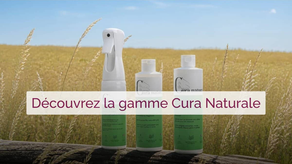 rive-equestre-cover-full-cura-naturale