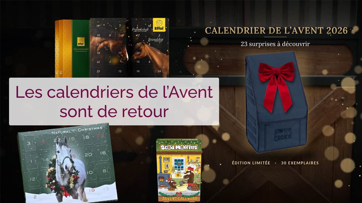 rive-equestre-cover-calendrier