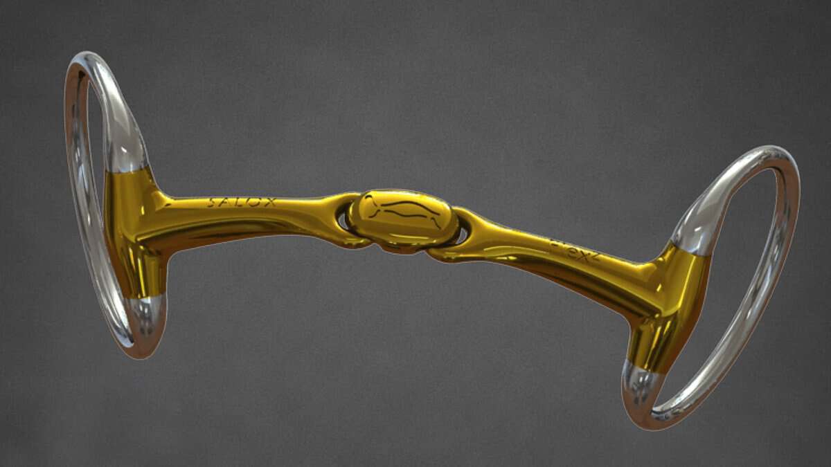 rive-equestre-cover-vide-neue-schule